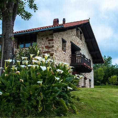 Apartamentos Rurales Larrago Busturia Kültér fotó